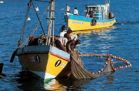 Gremio pesquero se anticipa a la discusión de la nueva ley de pesca: “Cualquier modificación no tiene que ser desde una hoja en blanco”