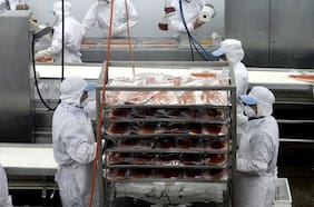 Confirman despido de trabajadores de planta procesadora de salmones Entrevientos tras incendio