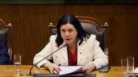 Exposición de Steinert en la Cámara incomoda al oficialismo y desata cuestionamientos en la derecha