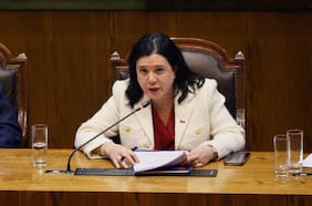 Exposición de Steinert en la Cámara incomoda al oficialismo y desata cuestionamientos en la derecha