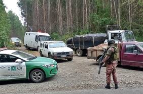 Carabineros detiene a cuatro hombres y dos mujeres por el robo de madera en predio forestal en Fresia