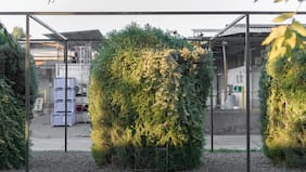 Iniciativa chilena apunta a reducir el impacto ambiental de la calefacción a leña con biofiltración