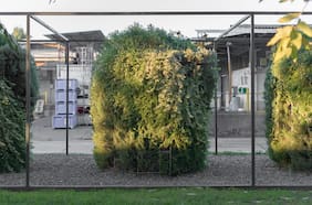 Iniciativa chilena apunta a reducir el impacto ambiental de la calefacción a leña con biofiltración