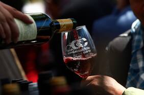 Con entrada gratis y shows de Pailita, Kramer, Illapu, Cami y Santaferia vuelvea la Fiesta de la Vendimia de Curicó