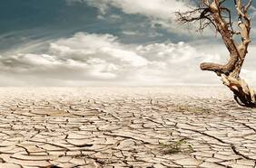 Columna de Hans Eben: “Humanizando el cambio climático”