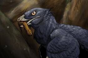 Inédito hallazgo: descubren el primer registro de un dinosaurio devorándose un mamífero