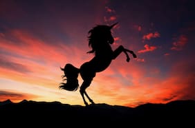 ¿Cuál será el próximo unicornio chileno?