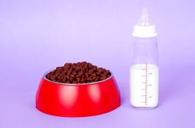 Nuestras lectoras preguntan: Cómo adoptar una mascota cuando hay niños muy pequeños