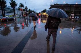 Estas lluvias “las recibimos con alegría y esperanza”: SNA ve con mayor optimismo próxima temporada agrícola