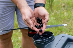 Drones que arrojan semillas pueden plantar 40 mil árboles al día