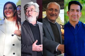 Araya, Ljubetic, Valle y Ñanco: los consejeros oficialistas que se asoman como líderes de la izquierda para el Consejo Constitucional