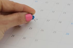 Este es el próximo feriado para el mes de julio y los que restan durante el año