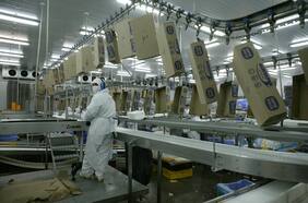 El ajuste de Agrosuper tras el alza de costos y el brote de gripe aviar: paraliza inversiones y reduce su dotación