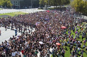 Columna de Elisa Walker: Diversidad e inclusión