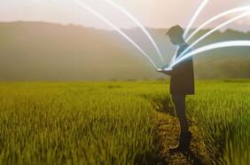 SNA inicia postulaciones de Desafío Conectagro, impulsado por SQM Yodo Nutrición Vegetal