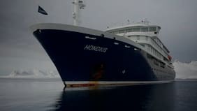 Instruyen aislamiento preventivo de dos ciudadanos chilenos por brote de hantavirus en crucero MV Hondius