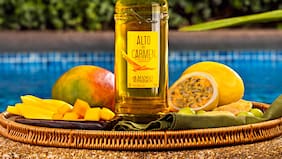 El nuevo hit de Alto del Carmen: Bienvenido Mango Passion