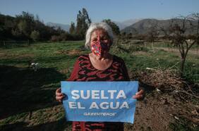 Hoy los avances ambientales son alcanzados gracias a la presión ciudadana