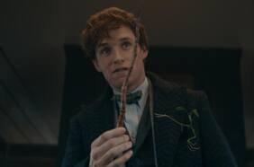 Warner Bros todavía no tiene un guión para seguir las aventuras de Newt Scamander y Animales Fantásticos 4 parece cada vez más difícil