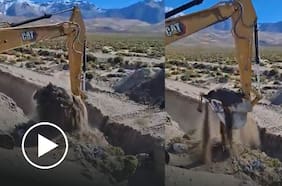 Gobierno demuele puente clandestino encontrado en la zanja de la frontera norte