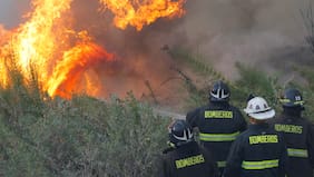 Senapred declara alerta roja en Chillán por incendio forestal cercano a sectores poblados