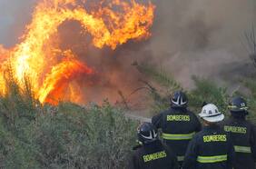 Llaman a evacuar sector en comuna de San Pablo por incendio forestal cercano a sectores poblados