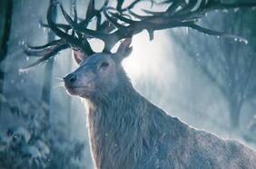 La adaptación de Sombra y Hueso fijó su estreno en Netflix con un teaser