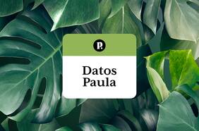 Tres Datos Paula para cuidar las plantas esta temporada