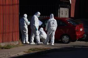 Columna de Josefina Araos: Mataron a puros niños