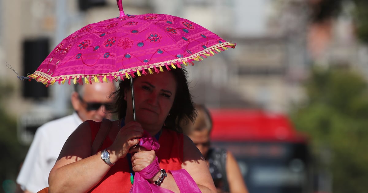 Alerta por altas temperaturas en Chile: riesgo de incendios forestales en el centro-sur se torna crítico
