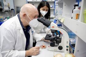 La luz y el tornillo