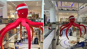 De las burlas al retorno triunfal: la historia del “Pulpo Navideño” que sacaron y ahora revive en Puerto Montt