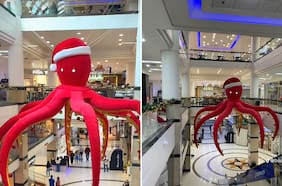 De las burlas al retorno triunfal: la historia del “Pulpo Navideño” que sacaron y ahora revive en Puerto Montt