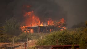 Incendios en Pichidegua: dos personas fueron formalizadas por uso negligente del fuego