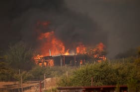 Incendios en Pichidegua: dos personas fueron formalizadas por uso negligente del fuego