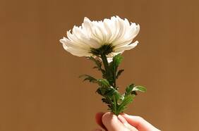 La importancia de celebrar un funeral, incluso un año después