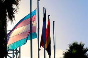 Diputados presentan proyecto que prohíbe cirugías de cambio de sexo y tratamientos hormonales en menores de 18 años