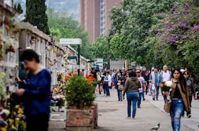 Youtuber ruso alucina con el Cementerio General de Santiago: “De los más lindos del mundo”