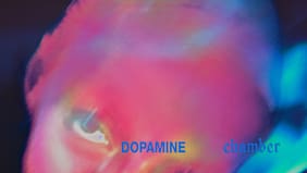 Crítica de discos: Fontaines D.C. se luce, Lalo Meneses es un sobreviviente y Olivia García renueva la canción chilena