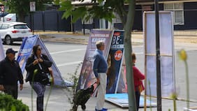 Basura electoral: Alcaldes denuncian palomas rezagadas después del periodo legal de campaña