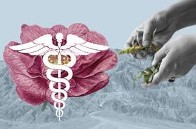 Las enfermedades sociales según la partera quechua