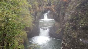 Conaf anuncia cierre para este sábado de dos parques nacionales en el Maule por posibles tormentas eléctricas