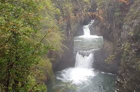 Superintendencia de Medio Ambiente alerta por proyecto inmobiliario entre parques nacionales del Maule