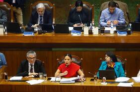 El duro enfrentamiento entre oficialismo y oposición que marcó el debate del presupuesto de Cultura en la Cámara