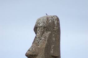 Un épico viaje: estudio publicado en Nature revela que primeros Rapa Nui sí tuvieron contacto con pueblos sudamericanos y hoy llevan su ADN en sus genes