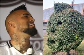 Sujetos destruyen el árbol en homenaje a Arturo Vidal en Talcahuano