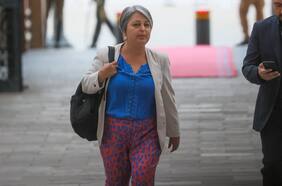 La incomodidad del PPD por el despliegue de Jara (y las críticas por su dardo a Tohá)