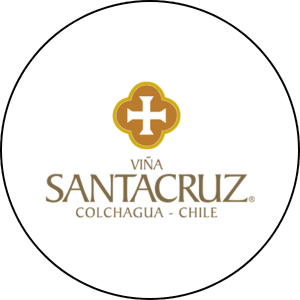 Viña Santa Cruz