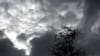 Alertan probables nubes tornádicas y fuertes vientos entre las regiones de Los Ríos y Aysén