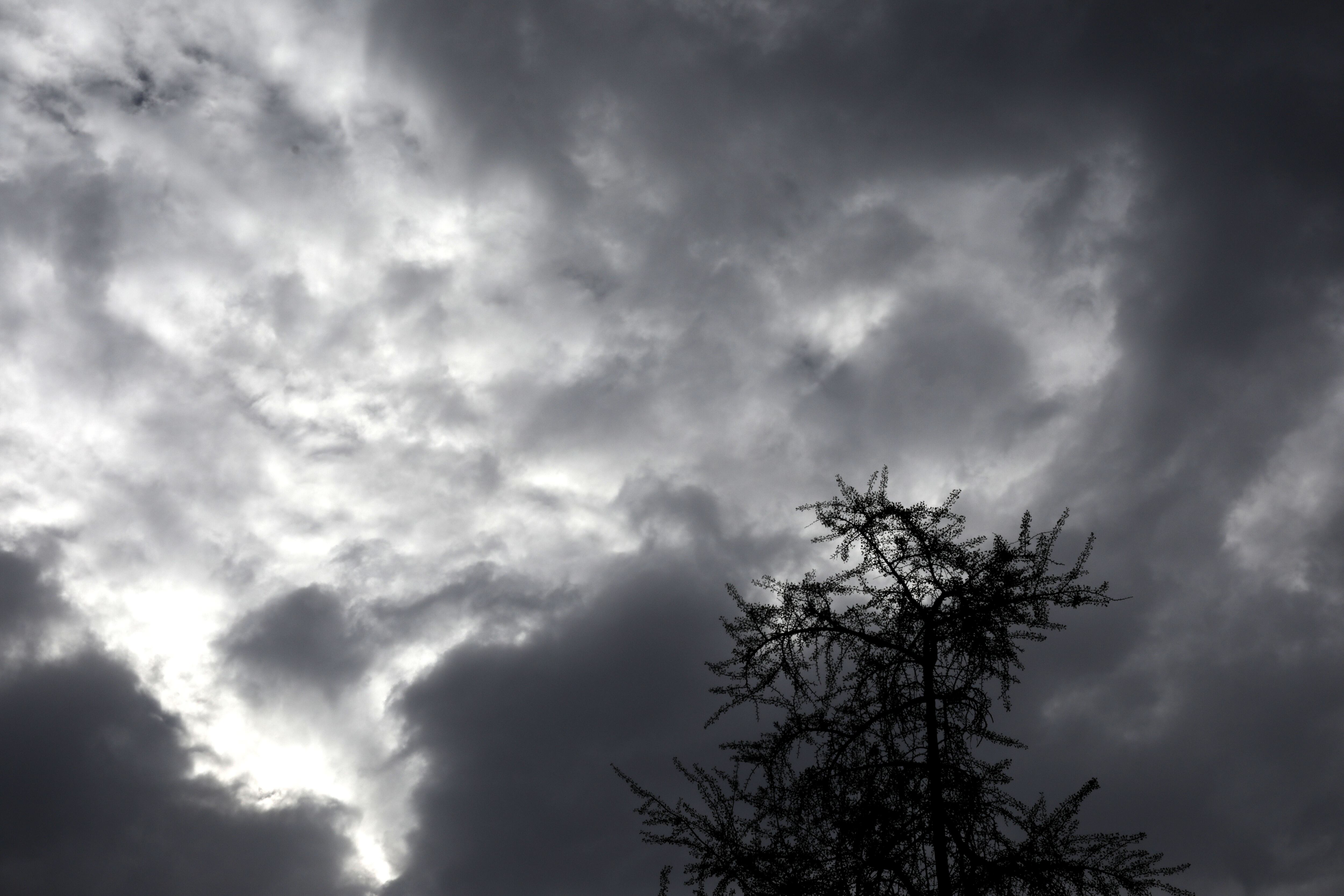 Meteorología emite aviso por probable desarrollo de nubes tornádicas en Los Ríos y Los Lagos